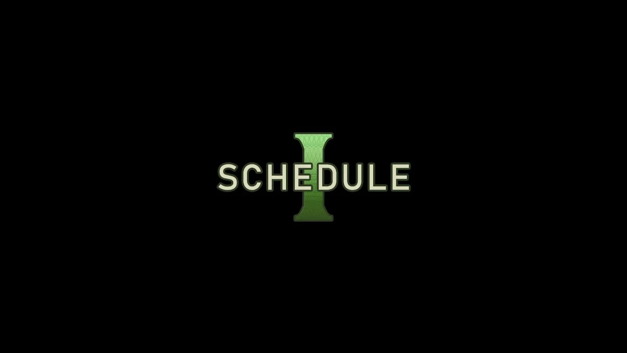 Обложка Schedule I